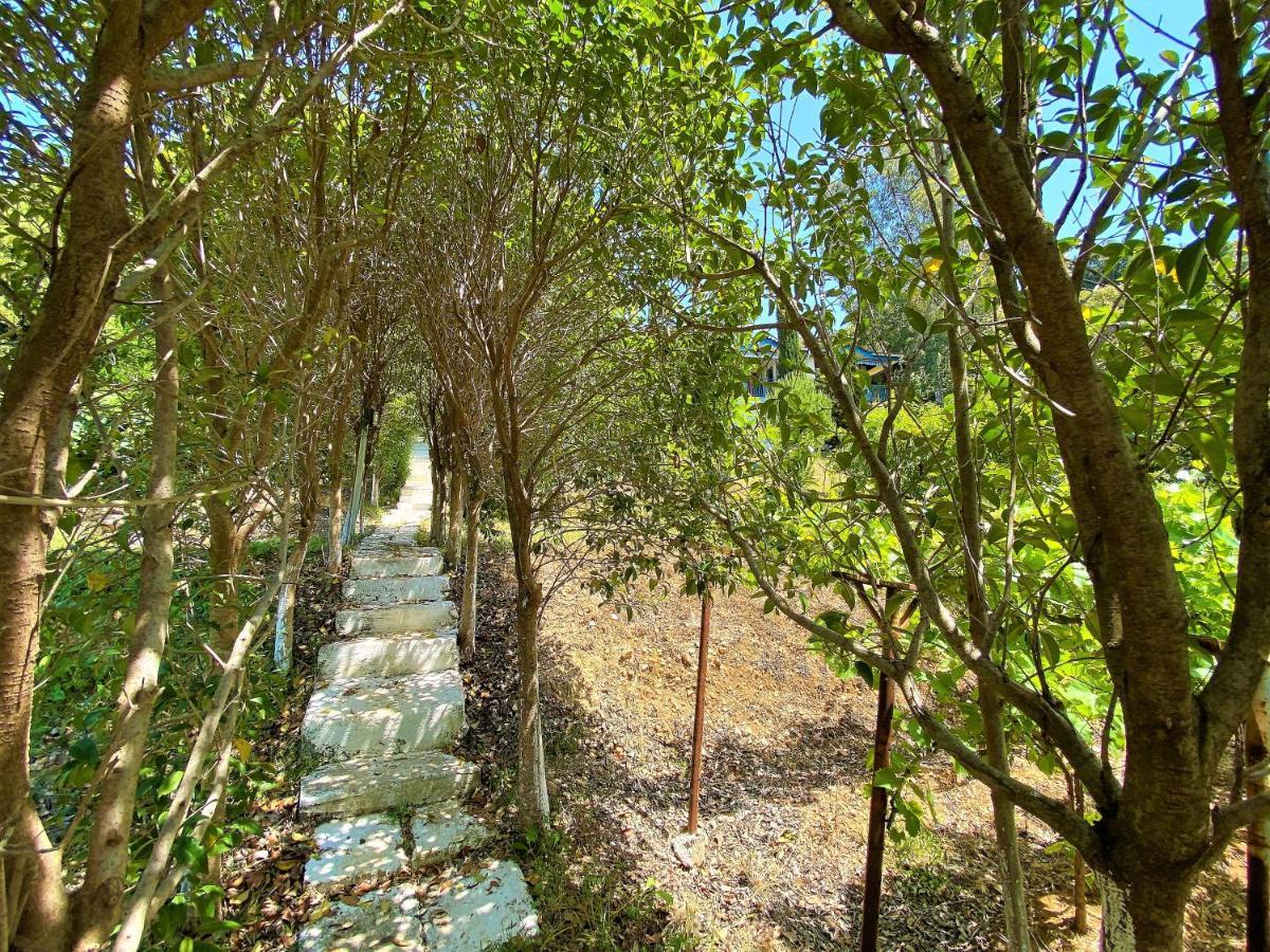 Ramo'S Green Beachside Retreat - Cozy 2 Bedroom Home Vlorë Eksteriør bilde